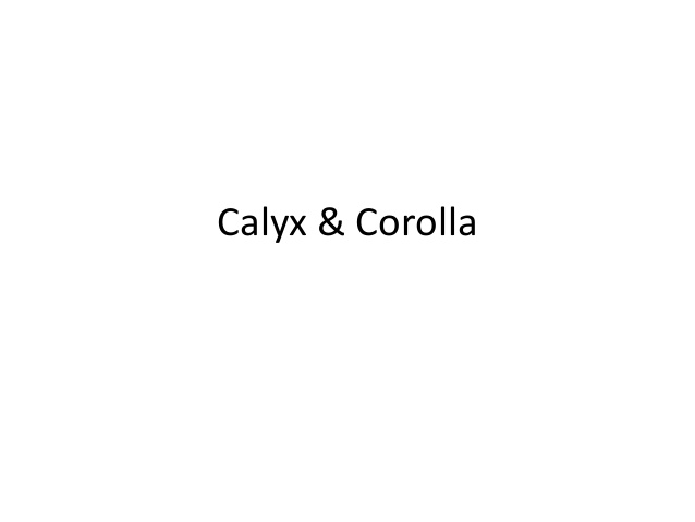 Calyx and corolla coupon